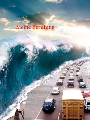 cover image of Meine Berufung
